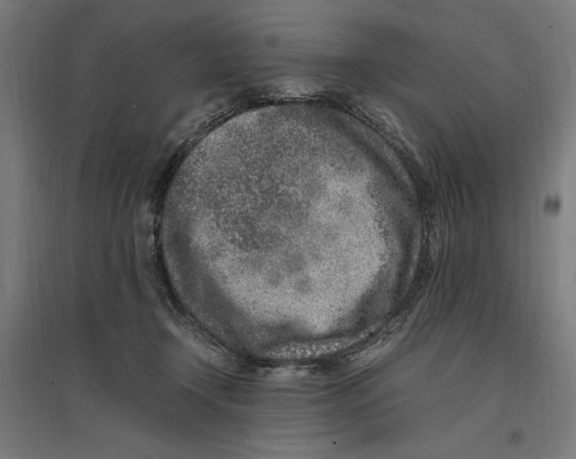 X0000096730366200803041228