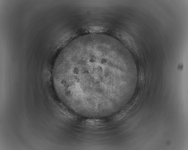 X0000096730367200803041228