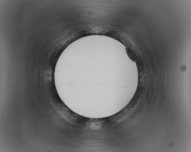 X0000096730368200803041228