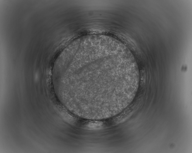 X0000096730369200803041228