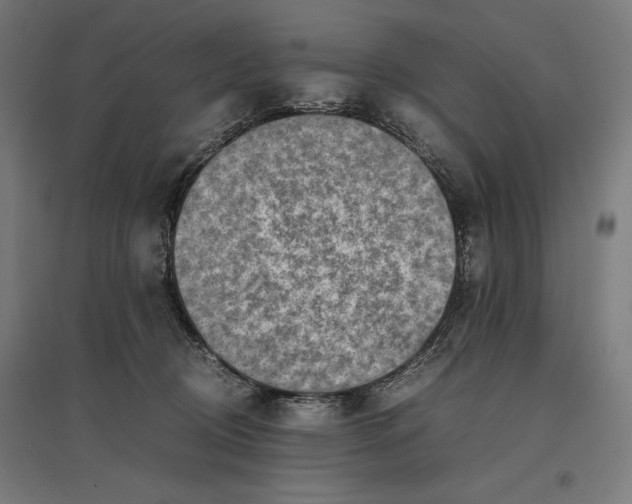 X0000096730370200803041228