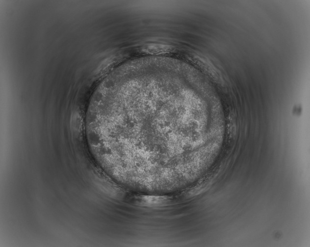 X0000096730371200803041228