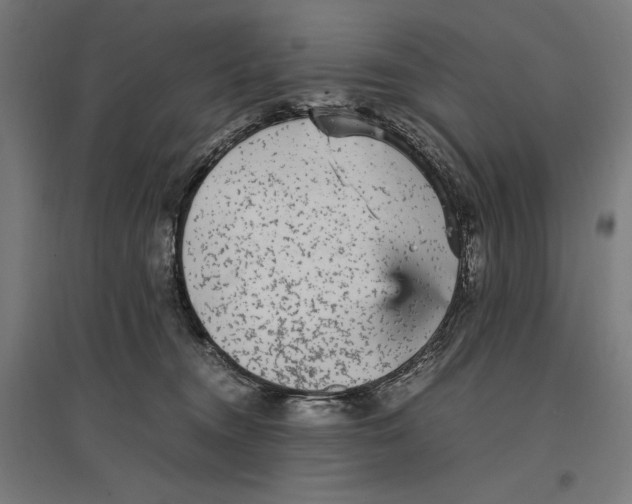 X0000096730372200803041228