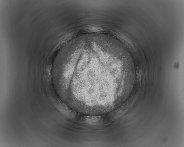 X0000096730373200803041228