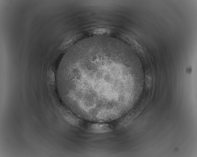 X0000096730375200803041228