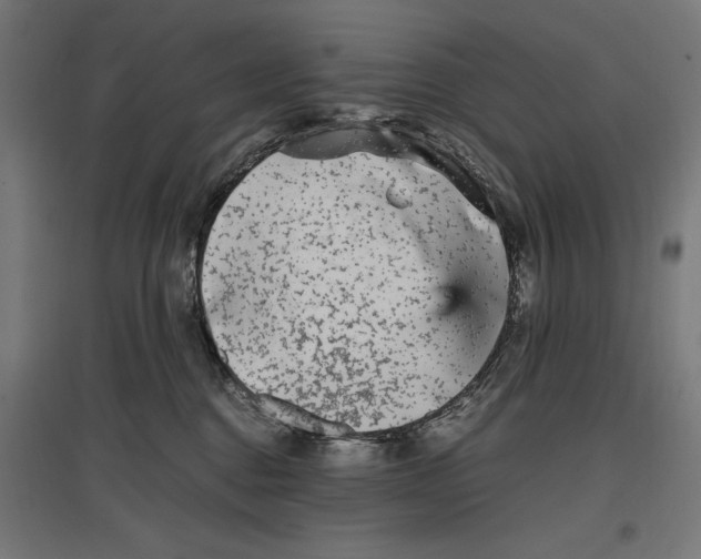 X0000096730376200803041228