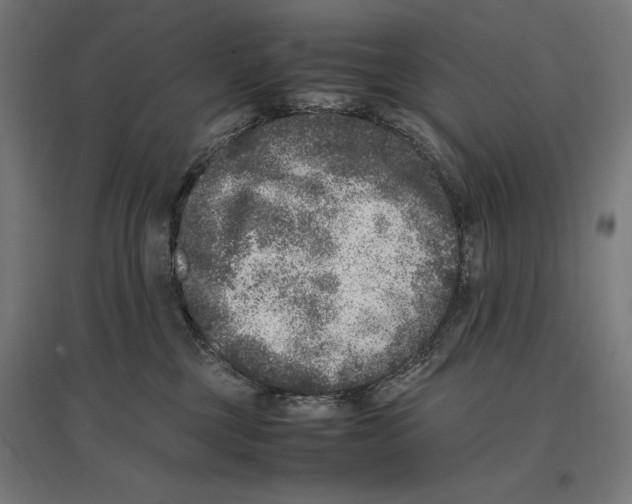 X0000096730377200803041228