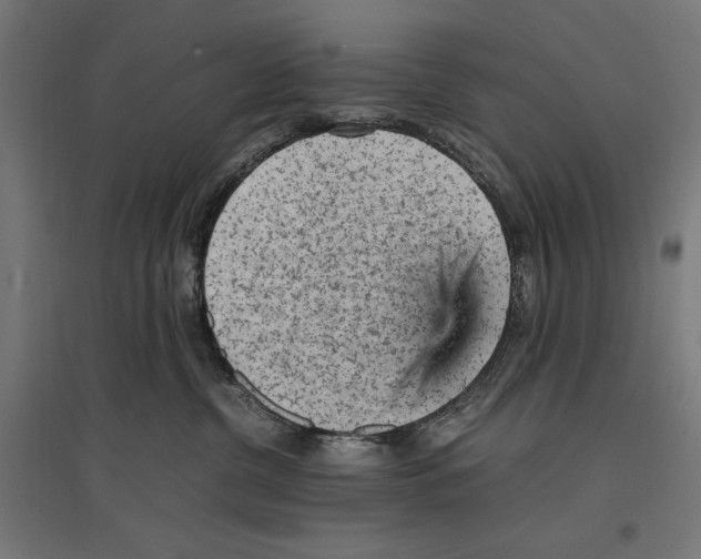 X0000096730380200803041228