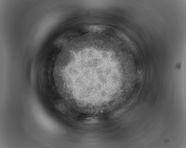 X0000096730381200803041228