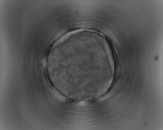 X0000096730382200803041228