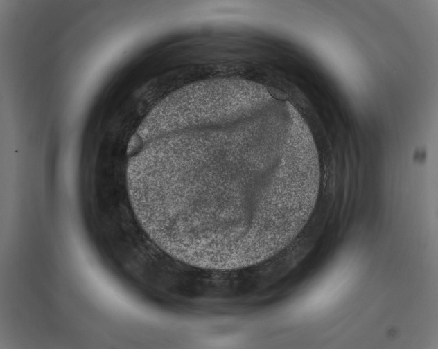 X0000096730383200803041228