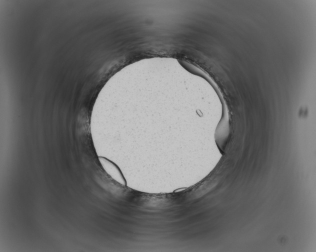 X0000096730384200803041228