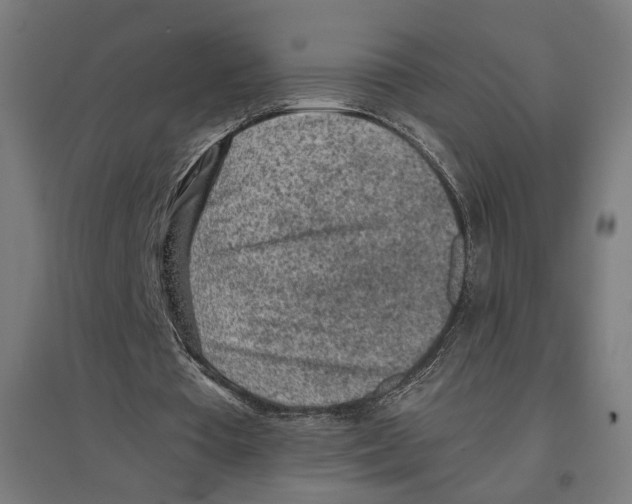 X0000096730385200803041227
