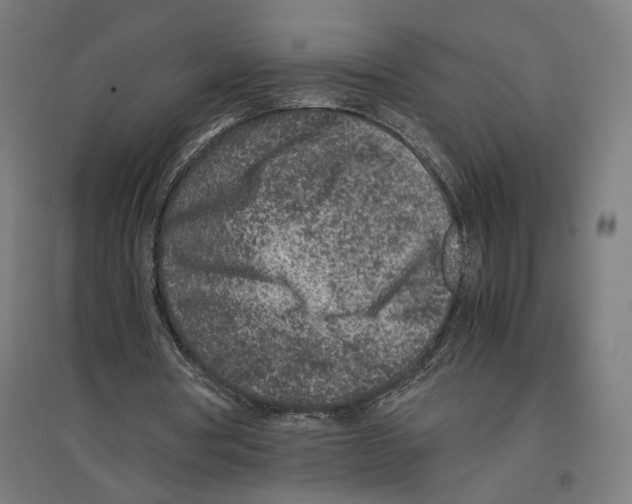 X0000096730386200803041227