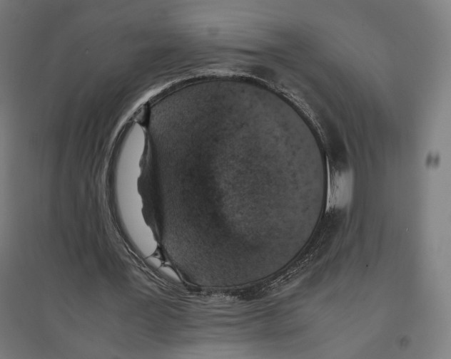 X0000096730387200803041227