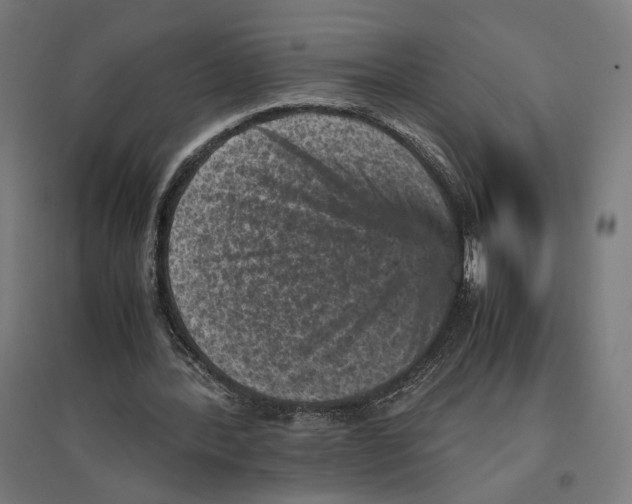 X0000096730388200803041227