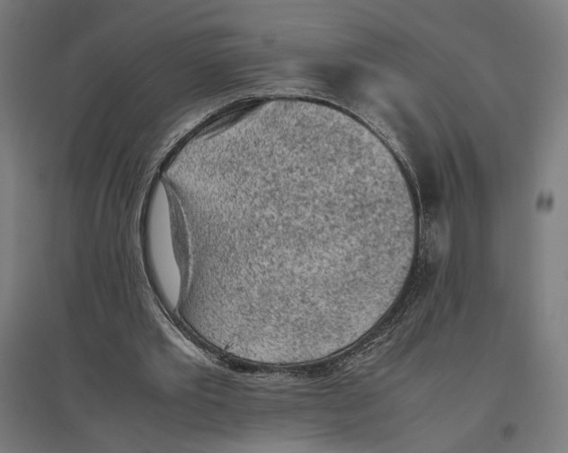 X0000096730389200803041227