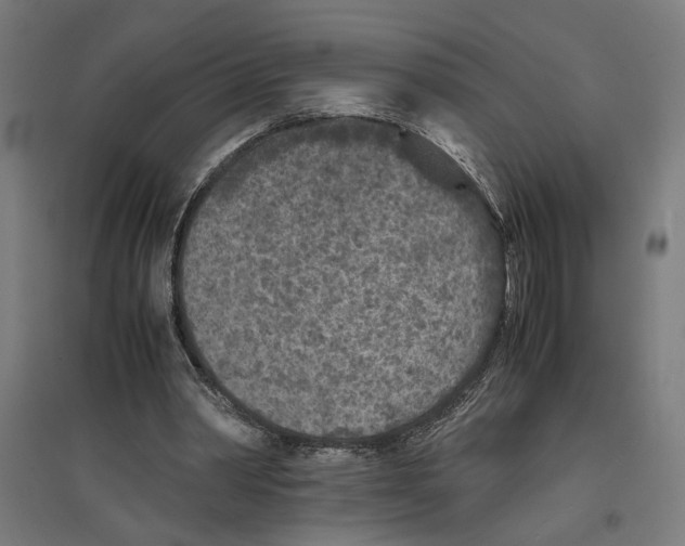 X0000096730390200803041227