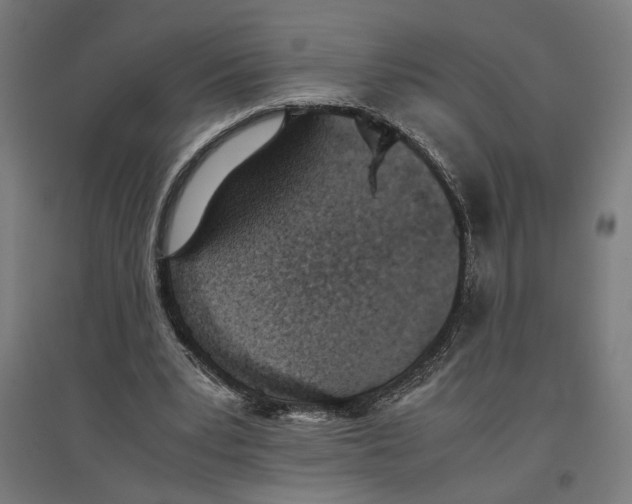 X0000096730391200803041227