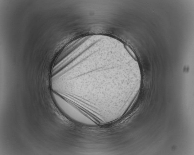 X0000096730393200803041227