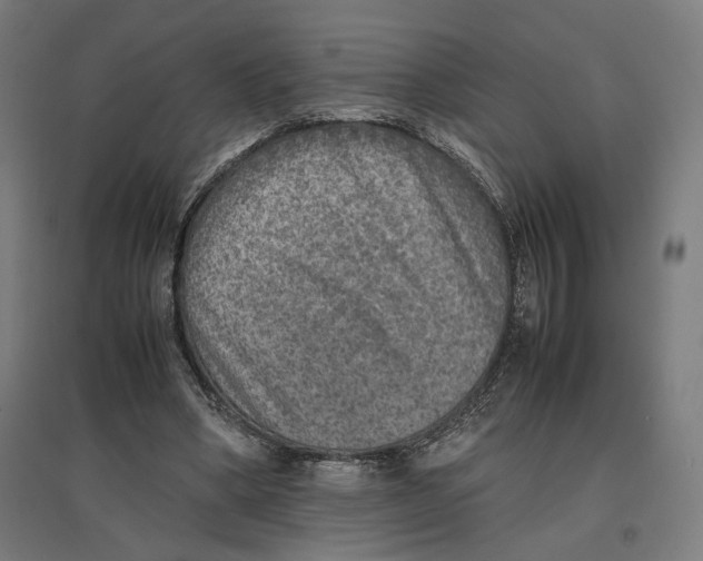 X0000096730394200803041227