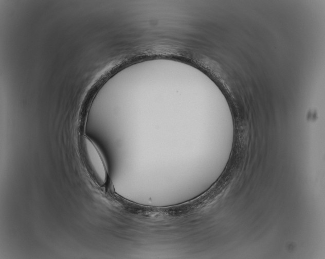 X0000096730395200803041227
