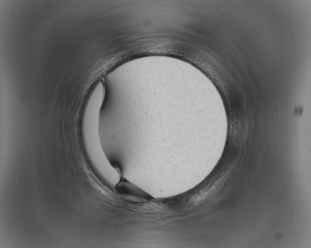 X0000096730397200803041227