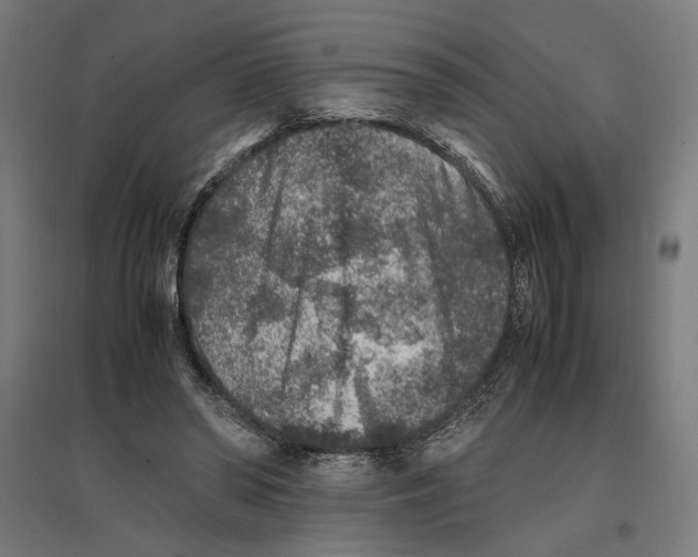 X0000096730398200803041227