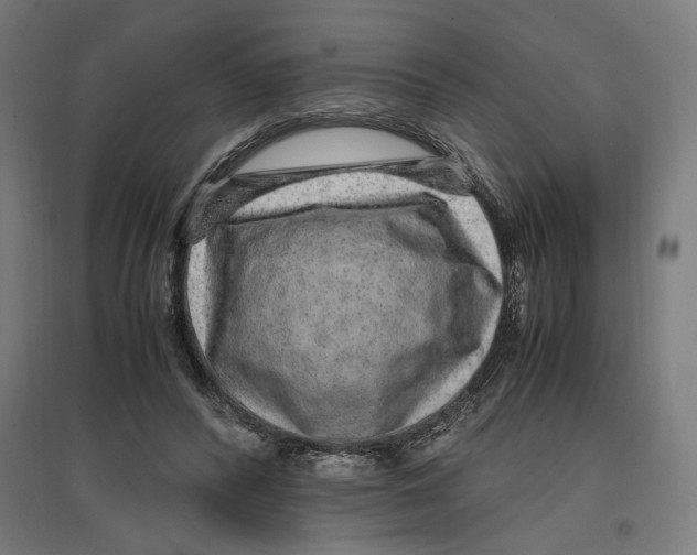 X0000096730400200803041227