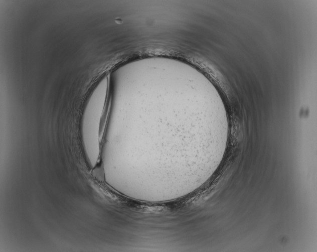 X0000096730401200803041227