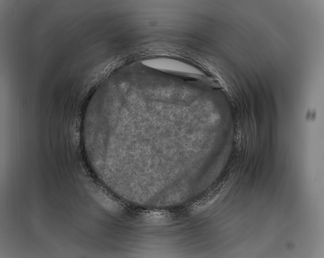 X0000096730402200803041227