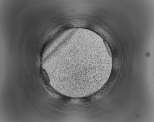 X0000096730405200803041227