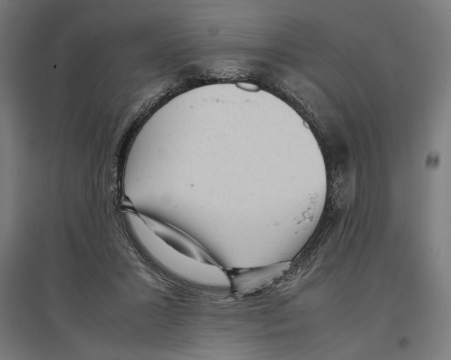 X0000096730407200803041227