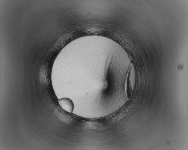 X0000096730408200803041227