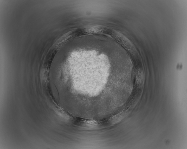 X0000096730409200803041227