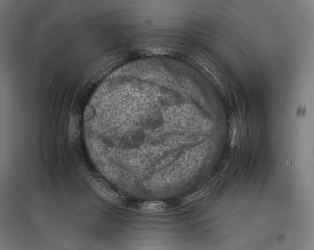 X0000096730410200803041227