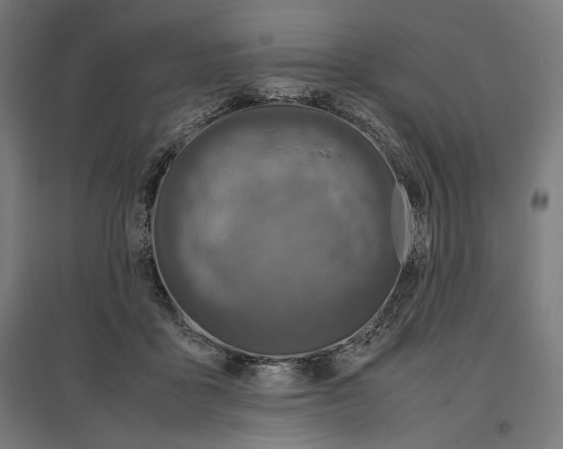 X0000096730411200803041227