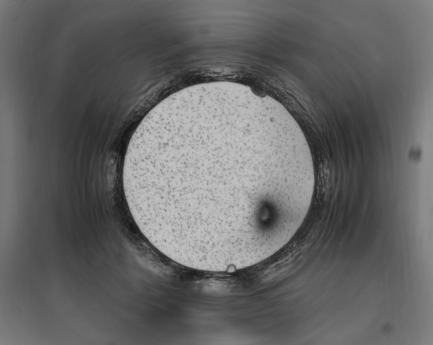 X0000096730412200803041227