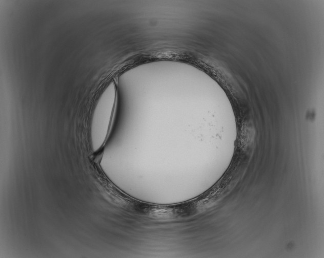 X0000096730413200803041227