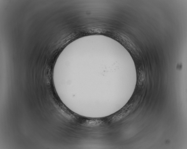 X0000096730414200803041227
