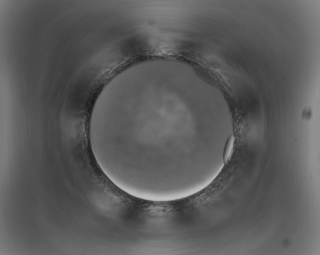 X0000096730415200803041227