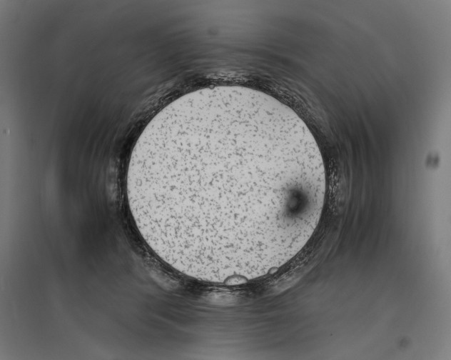 X0000096730416200803041227
