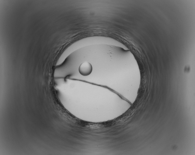 X0000096730417200803041227