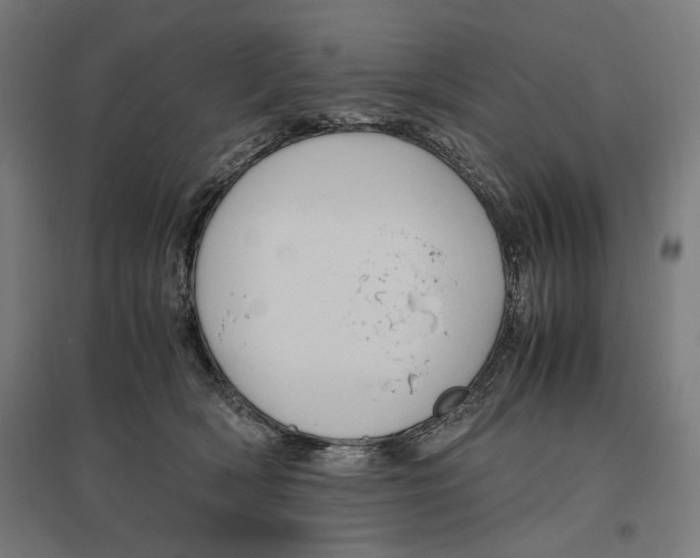 X0000096730418200803041227