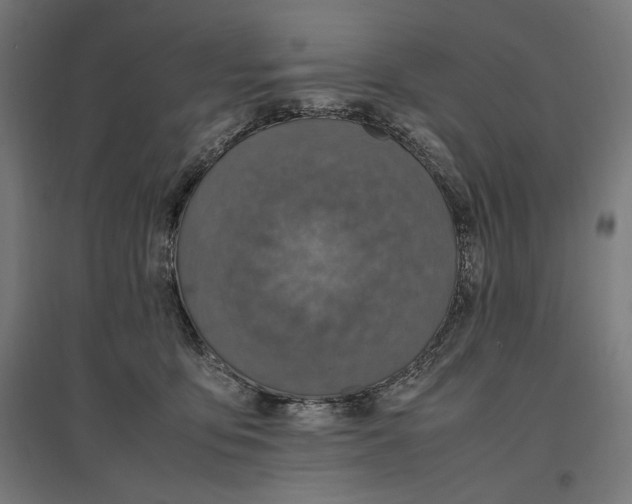 X0000096730419200803041227