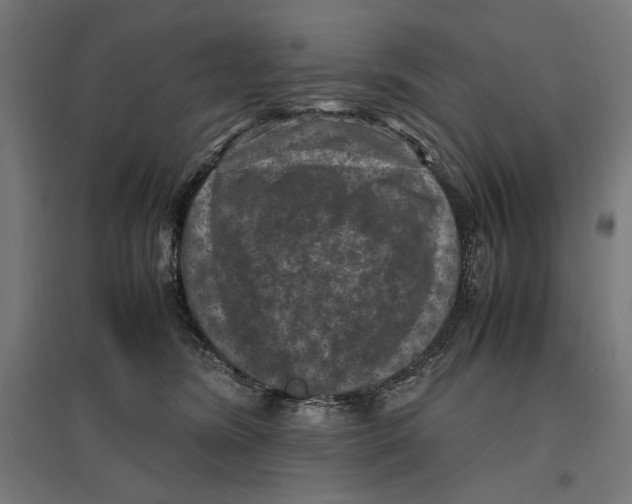 X0000096730420200803041227