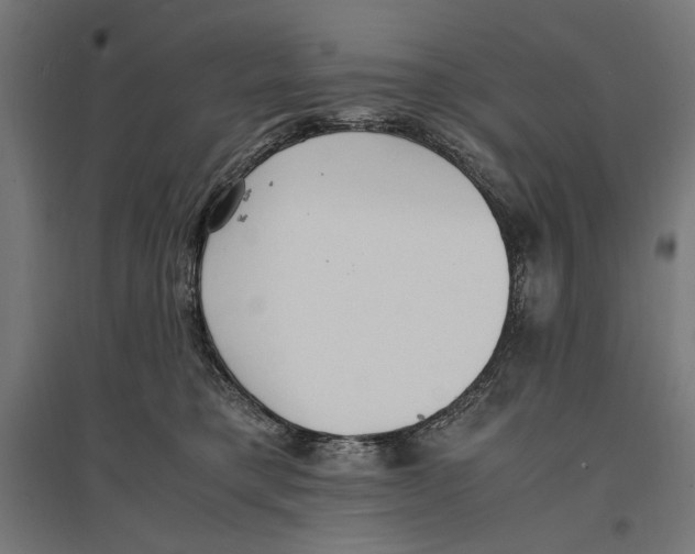 X0000096730421200803041227