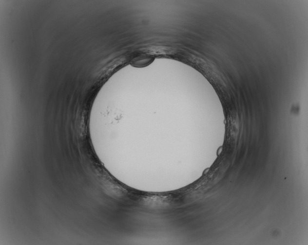 X0000096730422200803041227