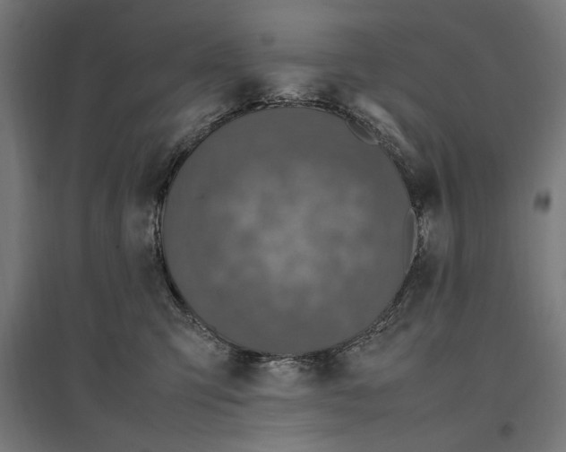 X0000096730423200803041227