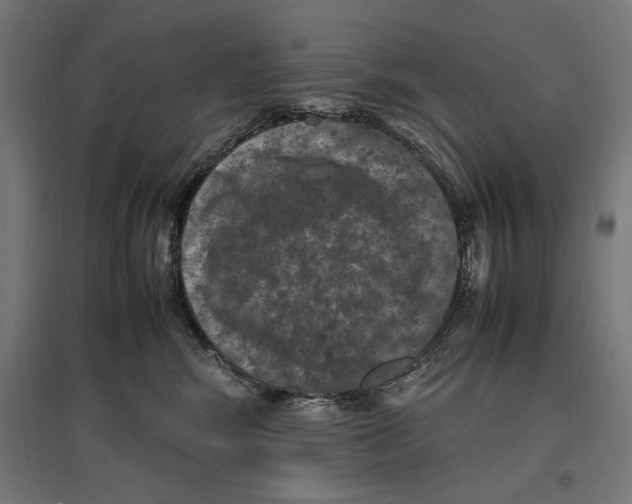 X0000096730424200803041227